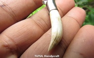 LIONTIN Langka TARING BUAYA ASLI NATURAL 02 Oleh TUTUL HANDICRAFT