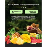 Reptile Fruit Powder High Protein with Probiotics for Crested Gecko Bearded Dragon Food