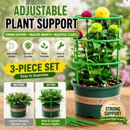 🇲🇾 Flower shelf Support Rod Climbing Bracket flower Vine Rak Bunga Sokongan 花架子货架支撑杆爬藤花架兰支架花藤架子拼接花支架