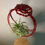 Wire lover 臺灣手作鋁線職人 戒指造型植栽架 小精靈空氣鳳梨擺