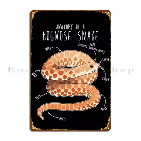 Albino Hognose Snake Anatomy Metal Sign Club Bar Cinema Club Custom Tin Sign Poster