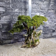Dragonstone Bonsai Style Driftwood Tree Design for Aquarium Tank (Large Sizes)