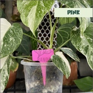 name tag id  penanda pot bunga tanaman hias dekorasi taman - merah muda