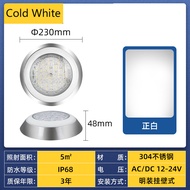 【Free Shipping】NexPool  23cm Stainless Steel Swimming Pool Light AC12V RGB Underwater Wall Mounted I