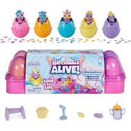 Hatchimals Alive, Egg Carton Toy with 5 Mini Figures in Self-Hatching Eggs, 11 Accessories, Kids Toy