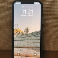 iphone 12 pro max 256gb (second)