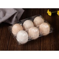 Plastic Egg Tray 12 slots | 6 slots | Quail Egg Tray 24 slots | Dozen | Half Dozen 50pcs per bundle