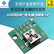 USB To DIP Female Socket MINI-5P Patch 2.54mm Straight Plug Soldered Adapter Board