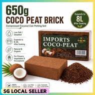 SG IN STOCK 650g Compressed Coco Peat Block Brick Plant Soil Vegetable Flowers Fruits Gardening Tool