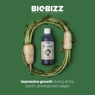 Biobizz Bio Grow 250ml Organic Growth Fertilizer OMRI Listed for all plant development stages