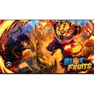 blox fruit level up service