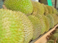 Durian Steel 13 In 1 Pek 1.5kg (nutrient Resources 100% Guarantee)