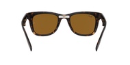 Ray-Ban Folding Wayfarer | Rb4105 710 | Global Fitting | Sunglasses