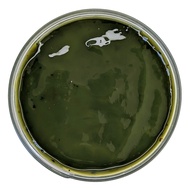 Live Seaweed Anti-Cellulite Mask. Algae Extract, Caffeine, and Vitamins. Skin Smoothing and Body Con