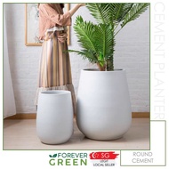 Textured Cement Pot Planter Pot Flowerpot Tree Pot Outdoor Pot Garden Pot