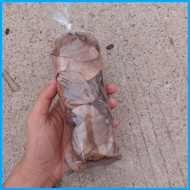 ➮ ✷ ─ Narra Tree Seeds Per Pack