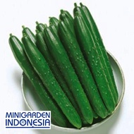 10 Benih Krai Timun Jepang Kyuri toska bibit tanaman sayur sayuran mentimun