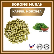 Moringa / Moringa Oleifera / Moringa Powder Daun Kelor