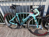 Bianchi Oltre XR4 獅子王拉花碳纖維公路車