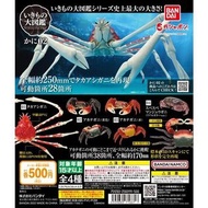 〘全套/散賣〙 BANDAI 環保扭蛋 甲殻類 可動 螃蟹編 第2彈 蜘蛛蟹 扭蛋 (全4種) 甘氏巨螯蟹 紅螯螳臂蟹(黃/紅) 花紋愛潔蟹 