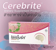 Cerebrite เซเรไบร์ท 