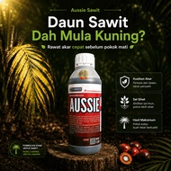 Rawatan Organik Pokok Sawit Kulat Ganoderma Daun Kuning Reput Pangkal Aussie Sawit