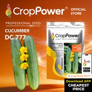 (100 GRAM) Biji Benih Timun Black Steel 铁金刚 DC777 CROP POWER F1 Hybrid Cucumber Seeds 黄瓜种子 DC 777