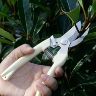 Branch Scissors Tree Twig Scissors Bent Scissors