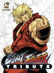 【布魯樂】《運損8折中》[美版書籍] 快打旋風 粉絲畫集 Street Fighter Tribute