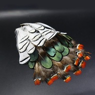 Fly Fishing Tying Feather Materials, Assorted LADY AMHERST Tippets &center Tail Feather