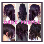 PERMANENT HAIR COLOUR DYE HAZEL BROWN BLUE PURPLE RED HAIR BLEACH BLONDE