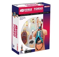 4D MASTER HUMAN模型/人體器官
