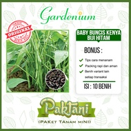 10 Benih Baby Buncis Kenya Buncis Biji Hitam Perdu Non Rambat Tanaman Sayur Paktani