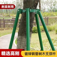 Big Tree Windproof Galvanized Holder Tree Support Rod Steel Pipe Support Frame Seedling Garden Green