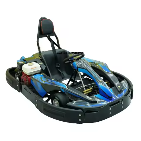 High-performance 4 Stroke 196cc Gas Engine Go Karts Adult Outdoor Racing 60KM/H Speed 5L/100KM Renta