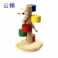 MHA120 Hamster Climbing Ladder Wooden Stand Platform Toy Colourful Carno Playground