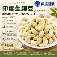 印度生腰豆 (大粒 - W240)│Indian Raw Cashew Nut (Large - W240)
