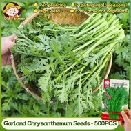 100% Original Garland Chrysanthemum Seeds for Planting Vegetables Plants 500pcs Organic Small Leaf R