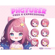 PNGTuber Virtual Character | Ready-to-Use 2D Avatar for Streaming & Vtuber | PNGTuber 614