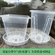 New Phalaenopsis Transparent Square Pot Desktop Bonsai Creative Hydroponic Flowerpot Root Control Po