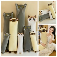 Cuddly Companions Long Cat Plush Pillows Comforting Embrace Cozy Decor