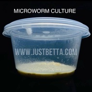 Microworm - First Food For Fry (Baby Fish) Betta - Guppy