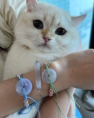 天然翡翠 緬甸 A玉 玉鐲 • 芋紫羅蘭平安扣