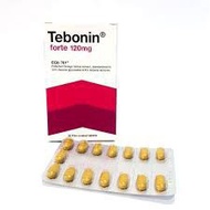 Tebonin Forte Tablet 120mg 30's (Exp:10/2027)