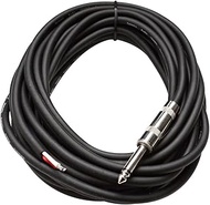 Seismic Audio QRW25 25-Feet Raw Wire to 1/4-Inch Speaker Cable, 16 Guage, PA/DJ/Home Audio