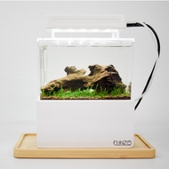 CUNZO Mini Aquarium Complete Set