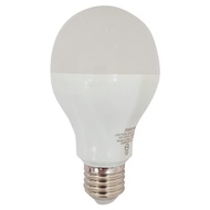 PHILIPS 飛利浦 13W LED超極光真彩版球泡燈  自然光  1個