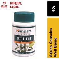 Himalaya Arjuna (60\'s)