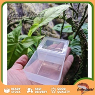 Gecko Reptile Food and Water Bowl 爬虫食盆水盆(Leopard gecko,Fat tail gecko)