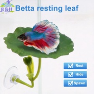 【B&H Dec】 1 Pc Green Leaf Hammock For Betta Fish Stress-Reducing Aquarium-Safe Decor With Suction Cu